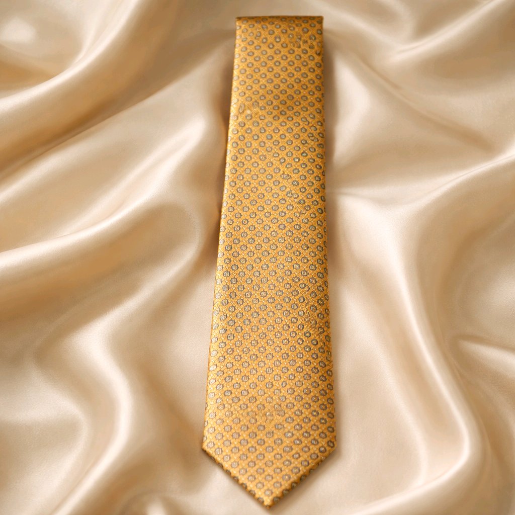 Cravates 100%  Soie Pour Hommes  chic  et  elegant